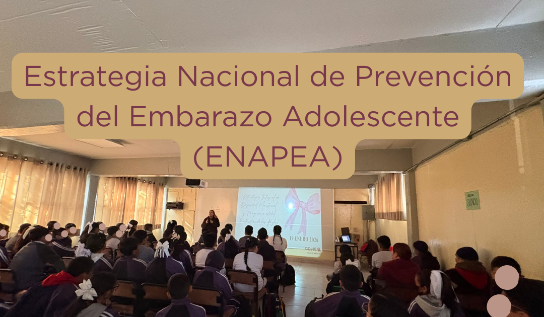 Estrategia Nacional para la Prevención del Embarazo Adolescente (ENAPEA)