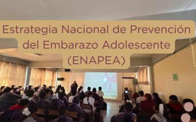 Estrategia Nacional para la Prevención del Embarazo Adolescente (ENAPEA)