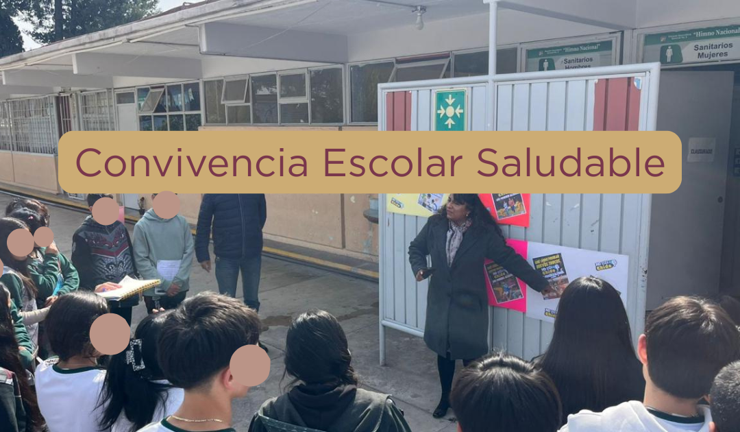 Convivencia Escolar Saludable
