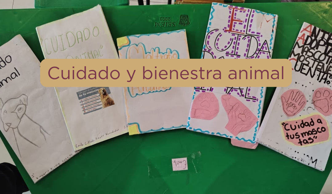 Cuidado y bienestar animal
