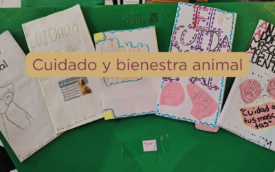 Cuidado y bienestar animal
