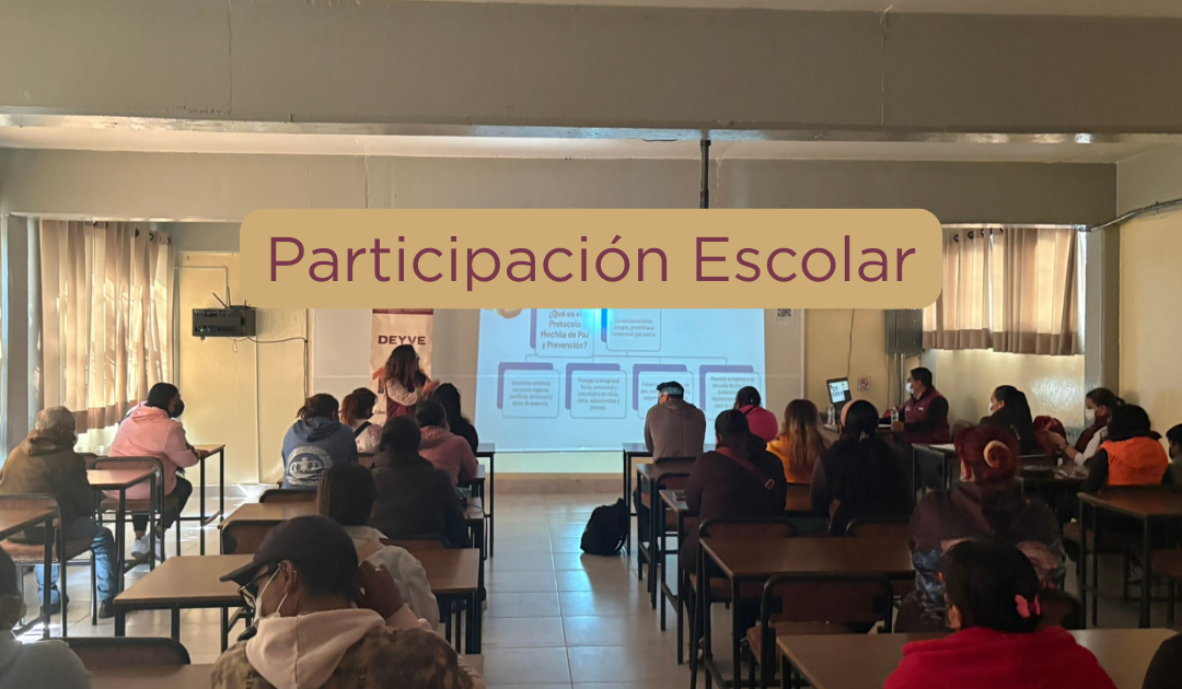 Participación Escolar